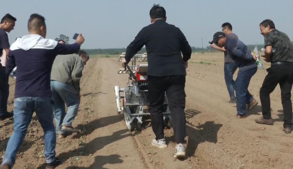 现在栽秧苗用什么机器,双轴气动移栽机械手教学视频