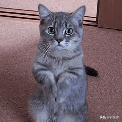 学会这6招买房砍价技巧,砍价技巧房东