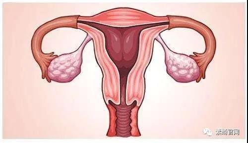 月经量多少，决定这女性的健康，别说你还不知道