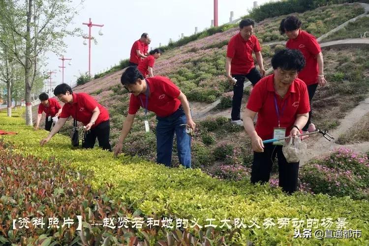 大荔赵贤若,大荔劳模赵贤若