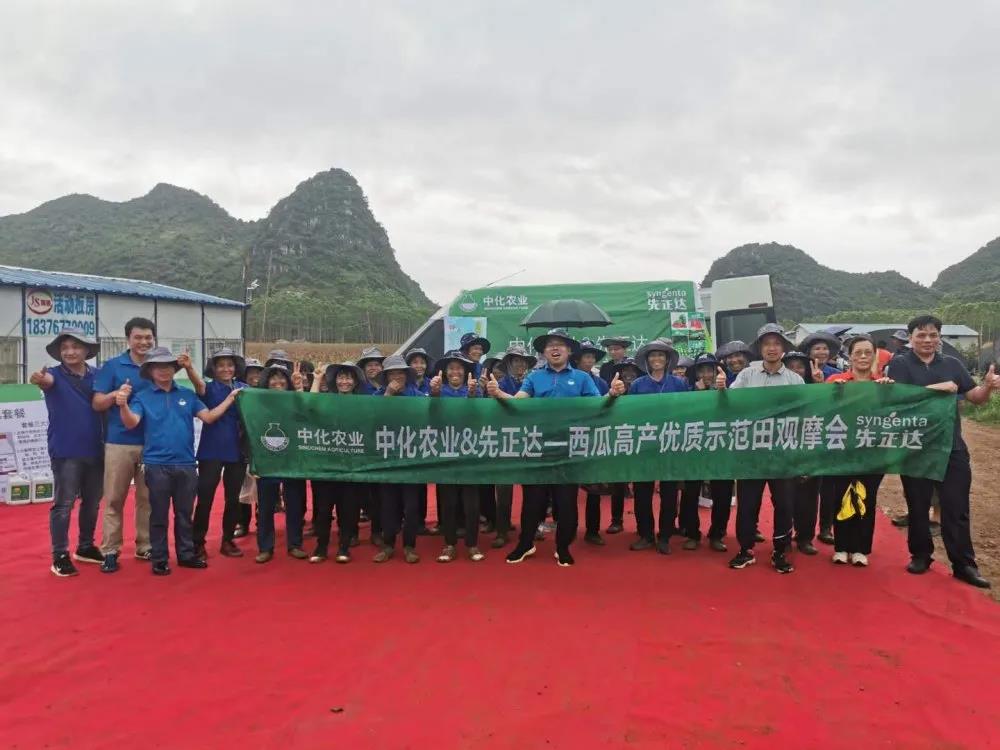 什么品种的西瓜长得最重,15公斤西瓜品种介绍