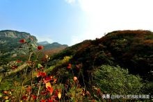 陕西是个好地方完整版,陕西是个好地方原唱