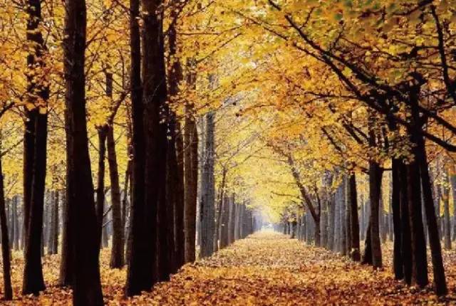 湖州悦湖名城售楼电话,湖州悦湖名城新盘火热开售