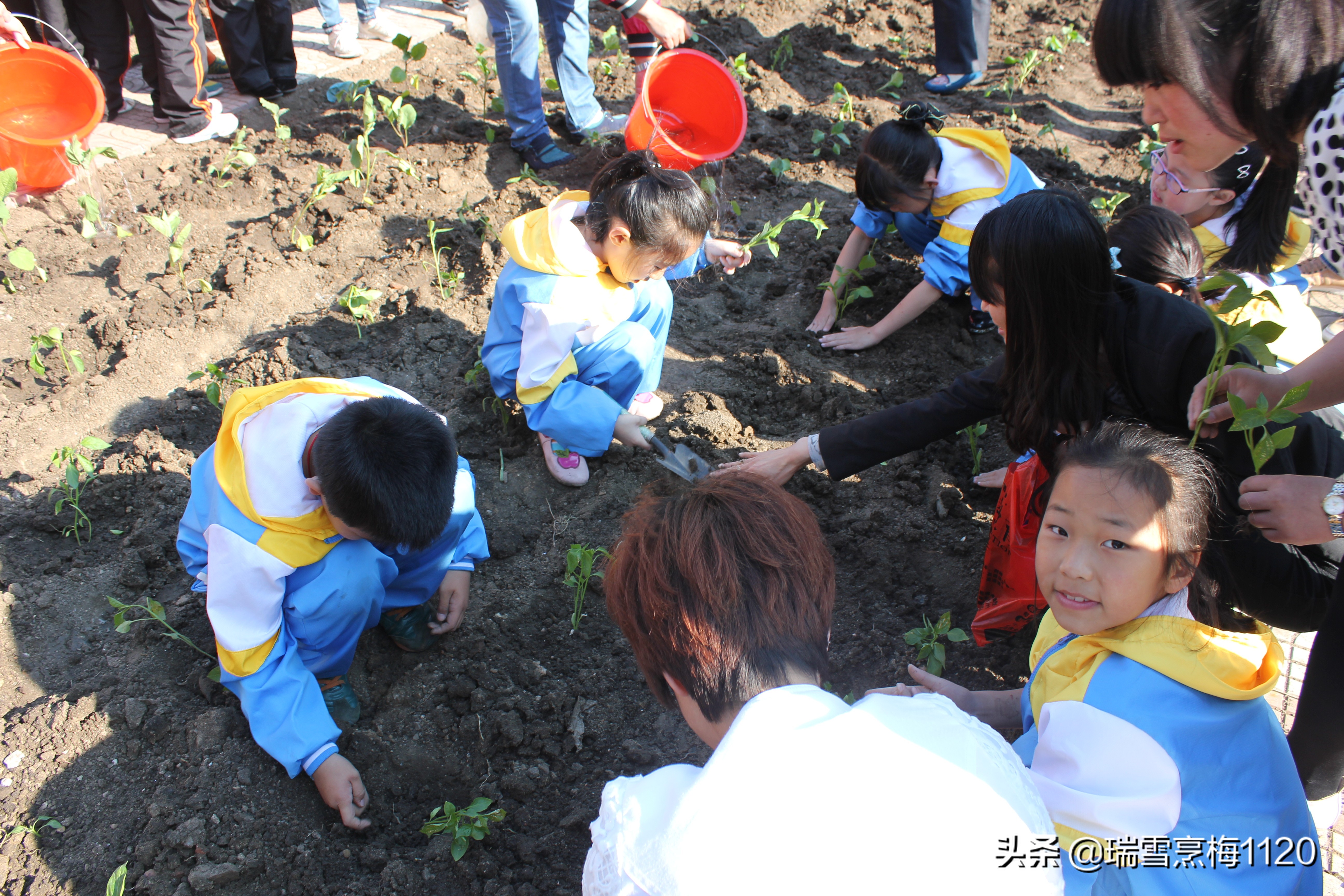 喜讯｜新城子街第一小学荣获沈阳市首批劳动教育特色学校荣誉称号
