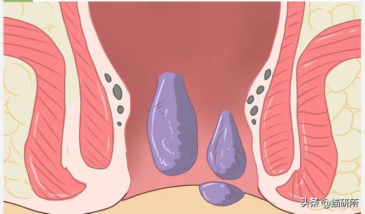 猫咪会长毛囊炎吗,猫咪会长老年斑吗