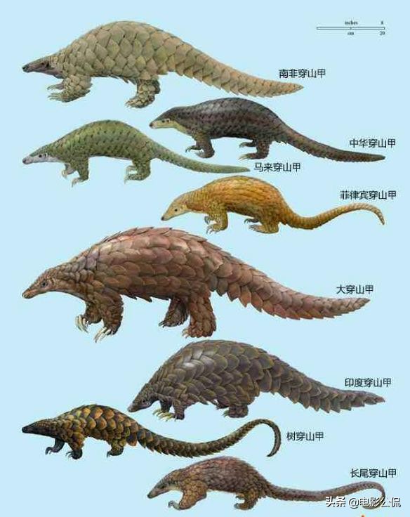 葫芦兄弟动画片告诉我们什么道理,葫芦兄弟第一季动画葫芦娃的故事