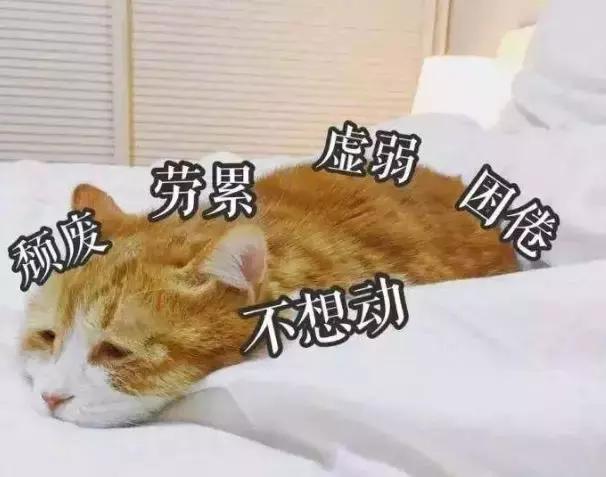 广州代购都去哪里,广州代购