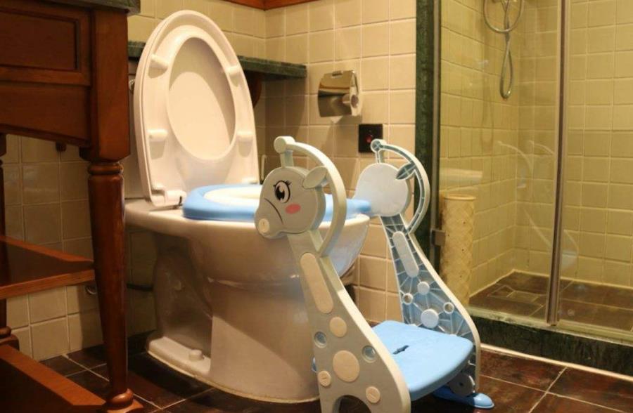 宝宝不愿意去厕所拉便便怎么引导,如何正确引导幼儿大便