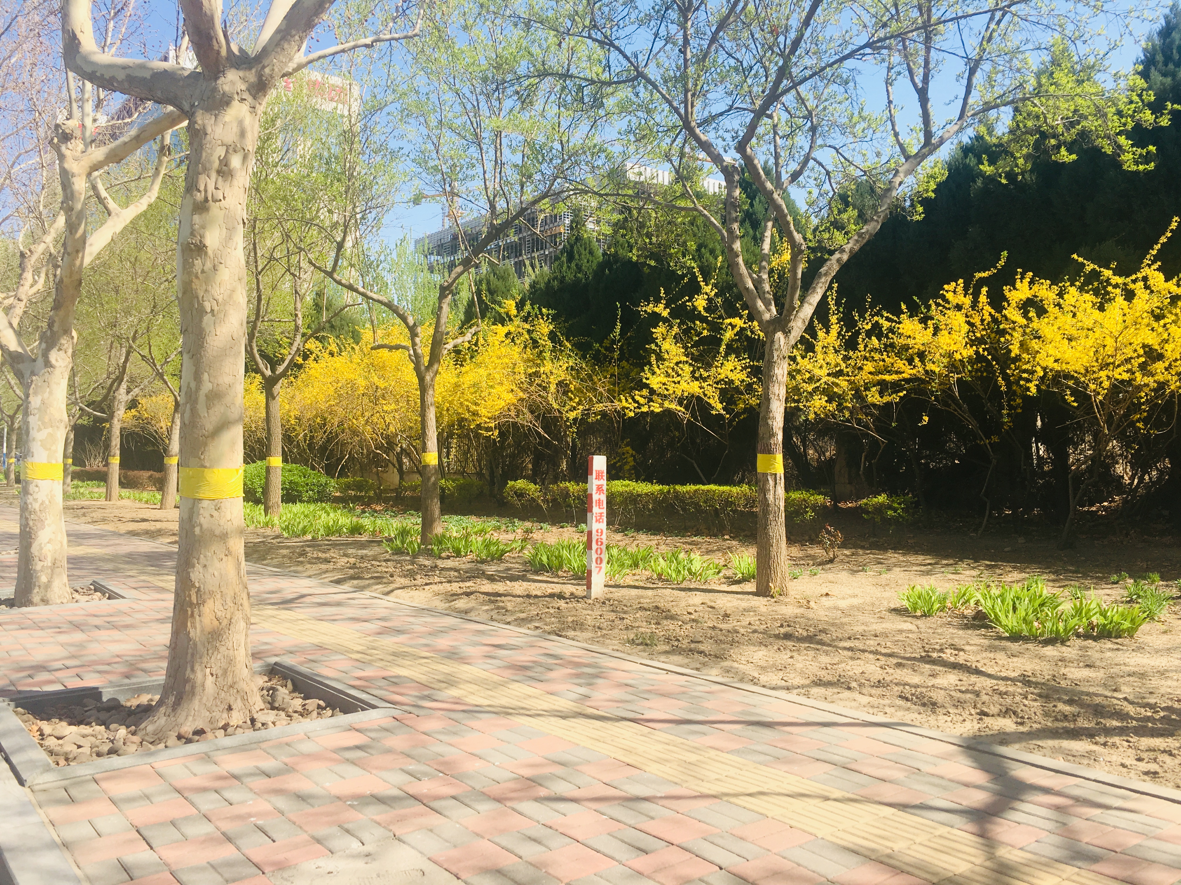 石家庄全程宜居,石家庄居住热度图