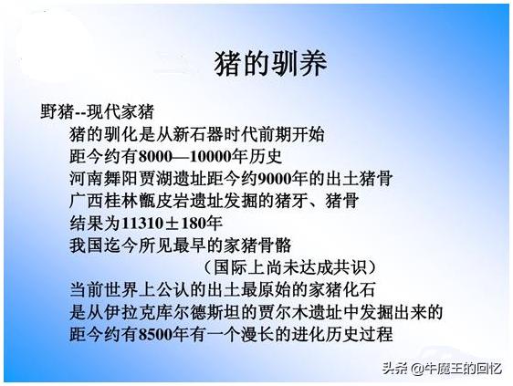 猪年的习俗有哪些,猪年是什么