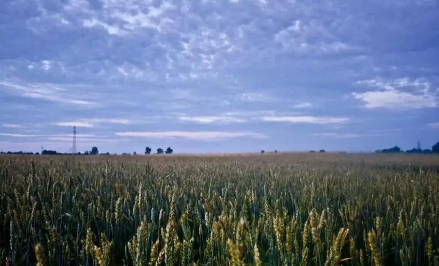 论一个人在无聊的时候都做些什么,无聊三件事