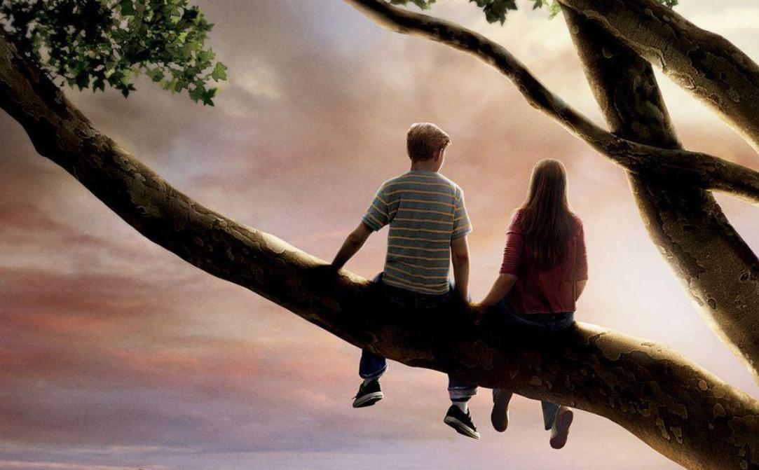 和感情洁癖的人恋爱,跟有洁癖加强迫症的人怎么相处