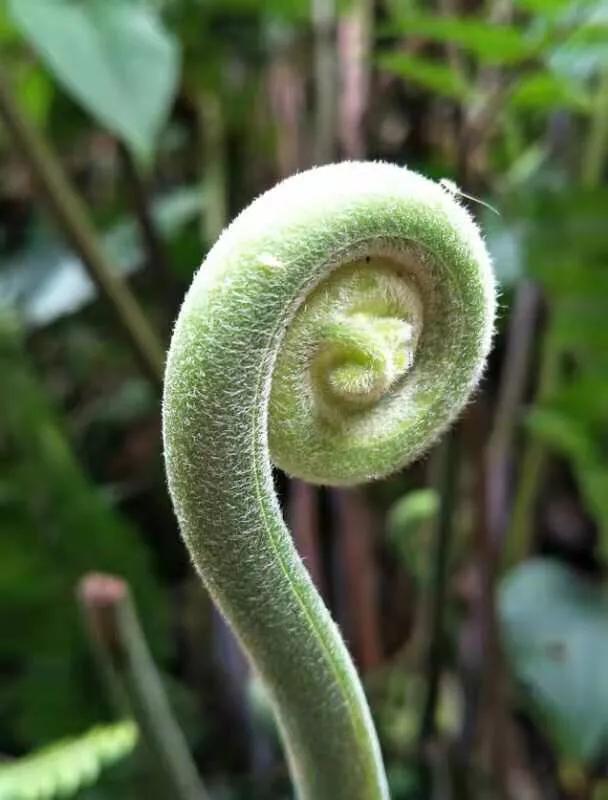 手拍世界近期作品,手拍世界微信公众号