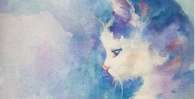 那么喜欢猫的人，你们知道猫的起源是怎么来的吗？