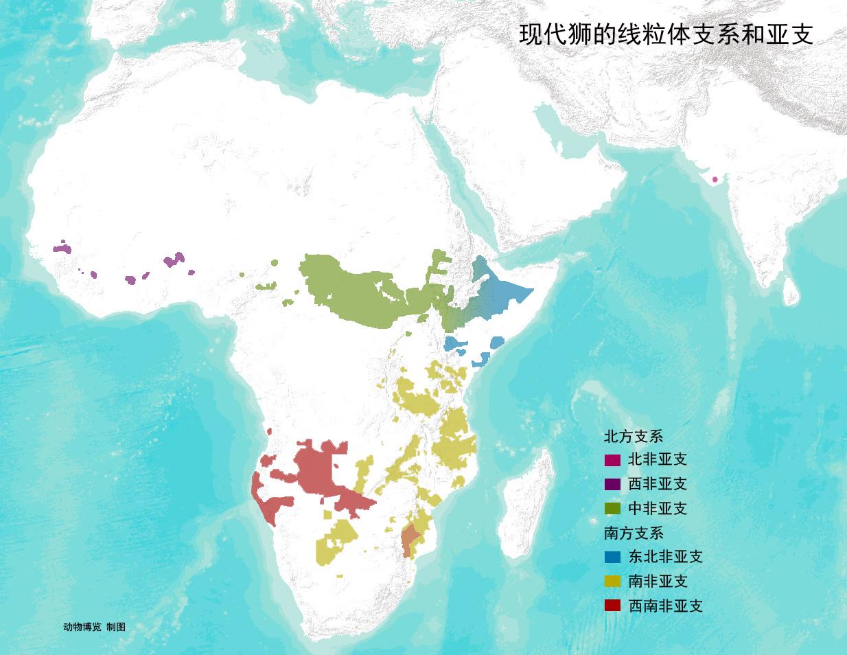 狮族南北战争：南方狮一直在蚕食北方狮的领地