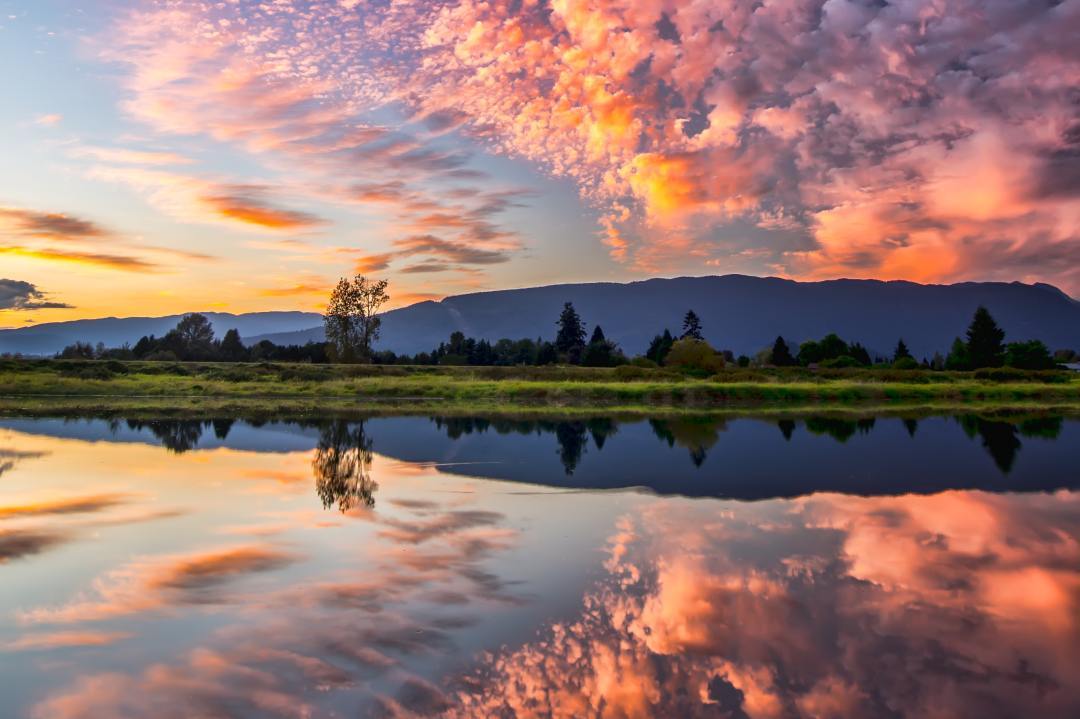 旅行常备的有哪些药,旅行药物必备清单包括哪些