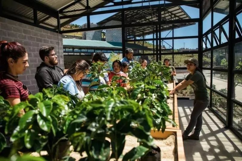 “土气”的休闲农业，正成为高端品牌争抢的“联姻”对象