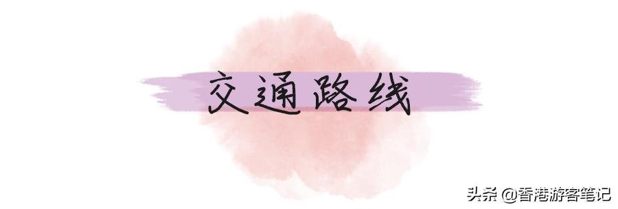 2019崇光店庆,崇光百货下半年店庆是什么时候