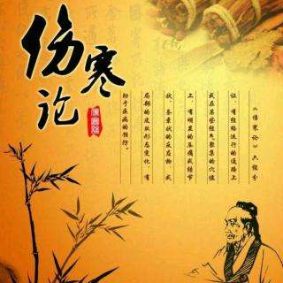 中医伤寒诊断法白话解,中医经典伤寒论第一讲