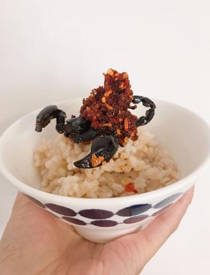 胆真大！曝日本女星将昆虫当食物，直言蟑螂味道像虾