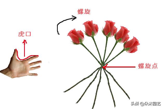 鲜花扎花束教程,手把手教你螺旋花束扎法