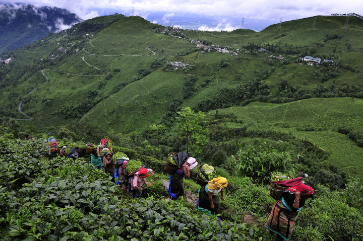想去印度发展有什么途径,想去印度需要什么条件