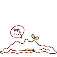 高加索三国如何区分东亚人：韩国，日本还是中国人？