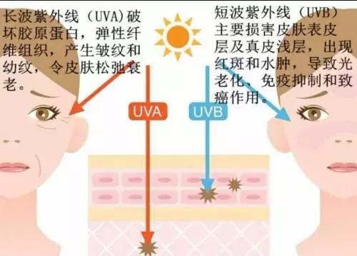 防晒要趁早句子,防晒达人的防晒秘籍拒绝变老