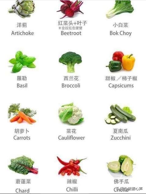 鹦鹉喂养的诀窍是什么,如何给鹦鹉鸟食物喂养好