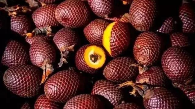 猎奇全球最罕见的水果你吃过几种,世界公认最强的三种水果