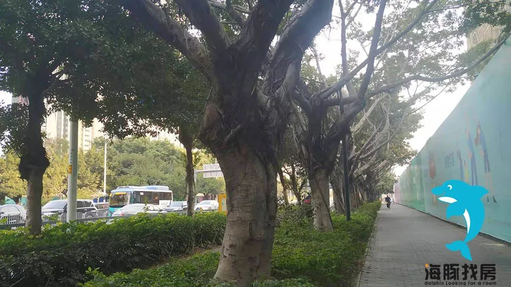 梧桐聚落开盘时间,泰华梧桐聚落花园交房时间