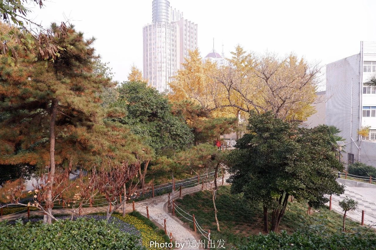 郑州中原区免费运动场地,郑州免费开放的体育场馆名单