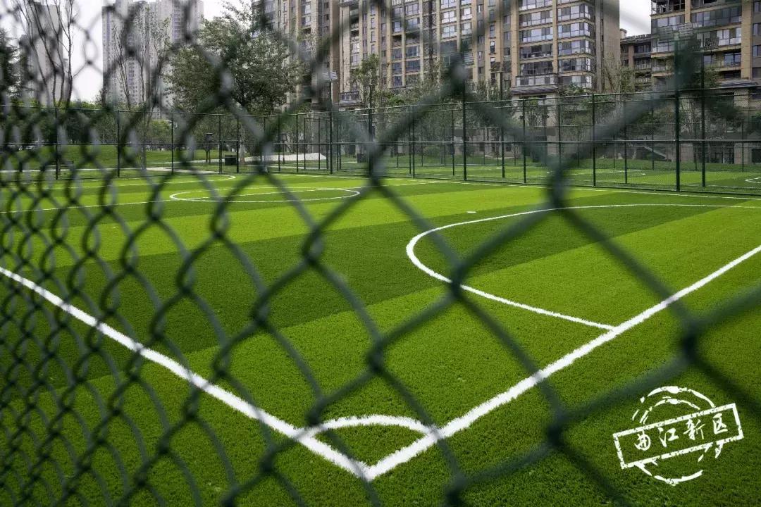 唐城墙遗址公园绿化带,唐城墙遗址公园哪个区值得去