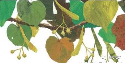 探访菜市场,菜市场探秘