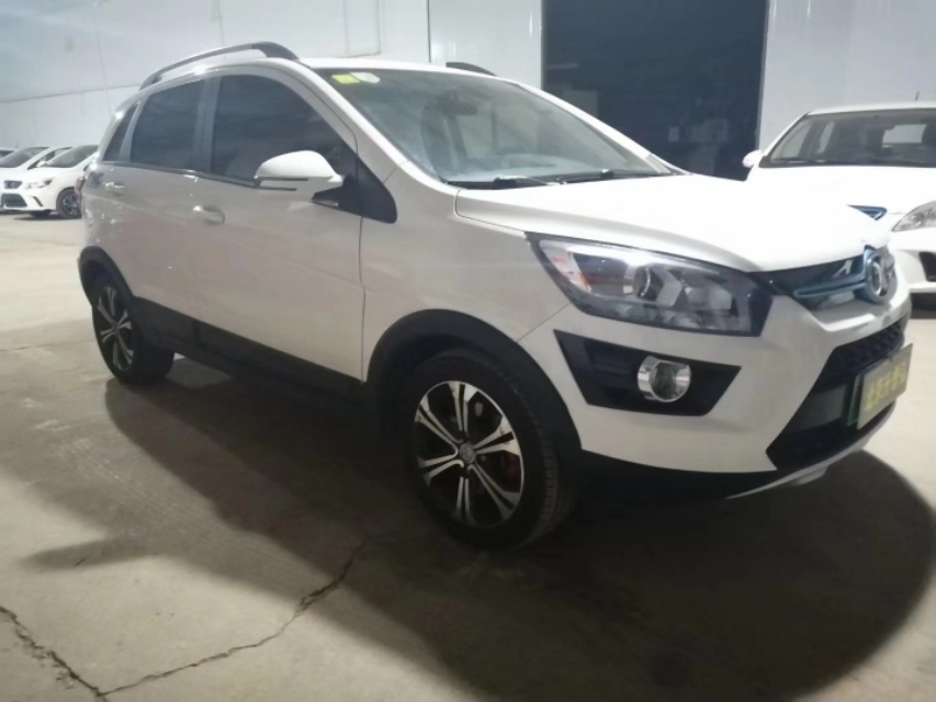 多种新能源,新能源汽车牌照样式