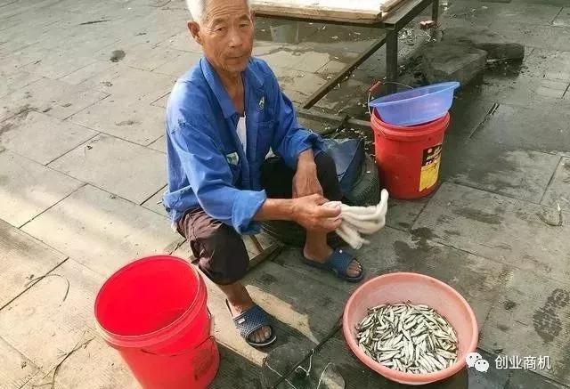 适合老年人创业的项目,农村老年人适合的创业