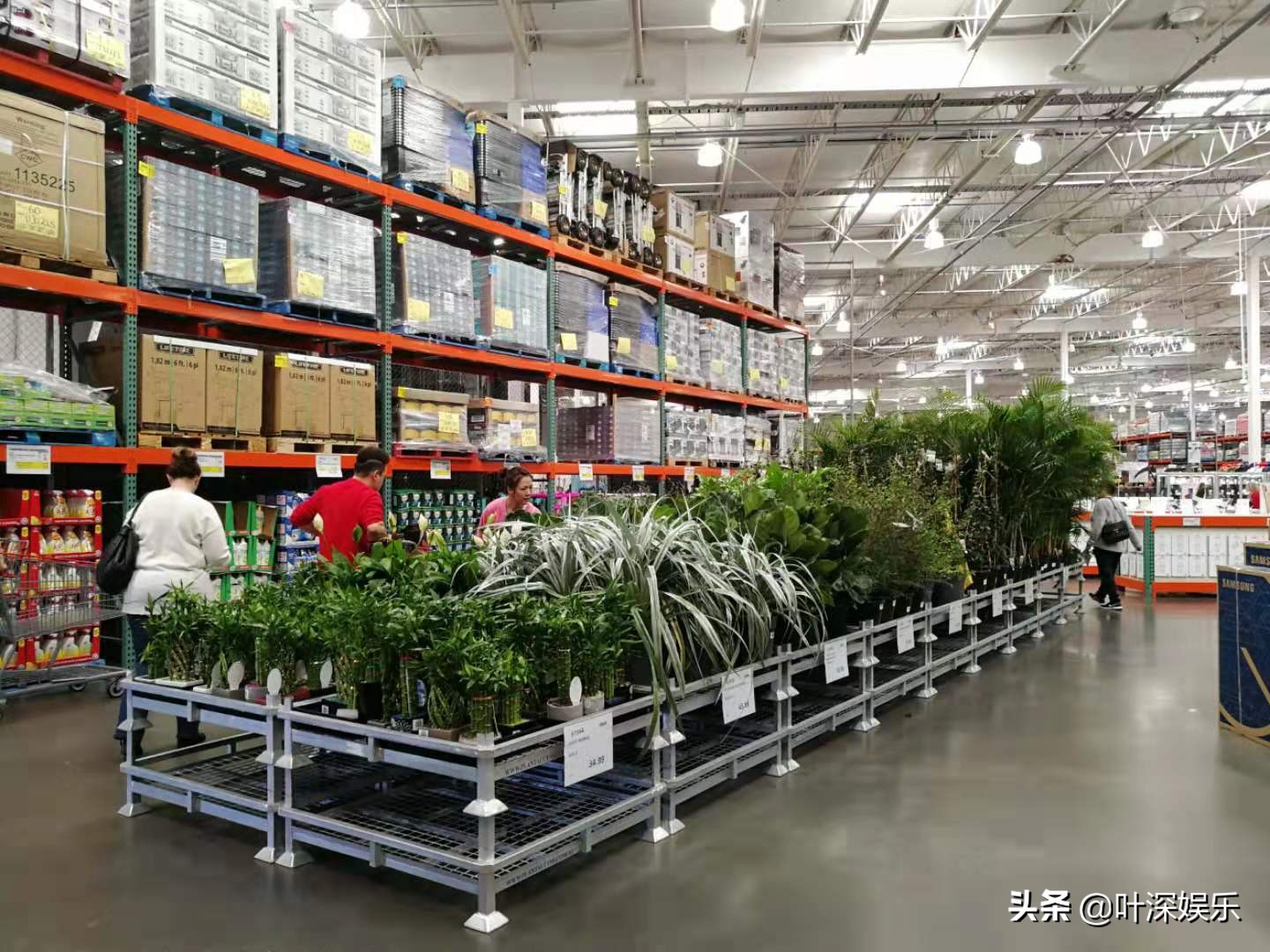 年收入18.2亿澳元、销售额猛增14％，澳洲Costco卖的都是啥？