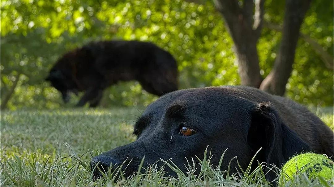 first青年电影展vlog,first青年电影展年度影像