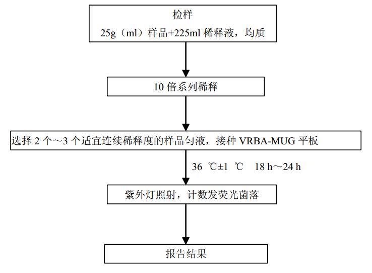 大肠埃希菌菌落计数10.5,大肠埃希氏菌计数3+严重吗