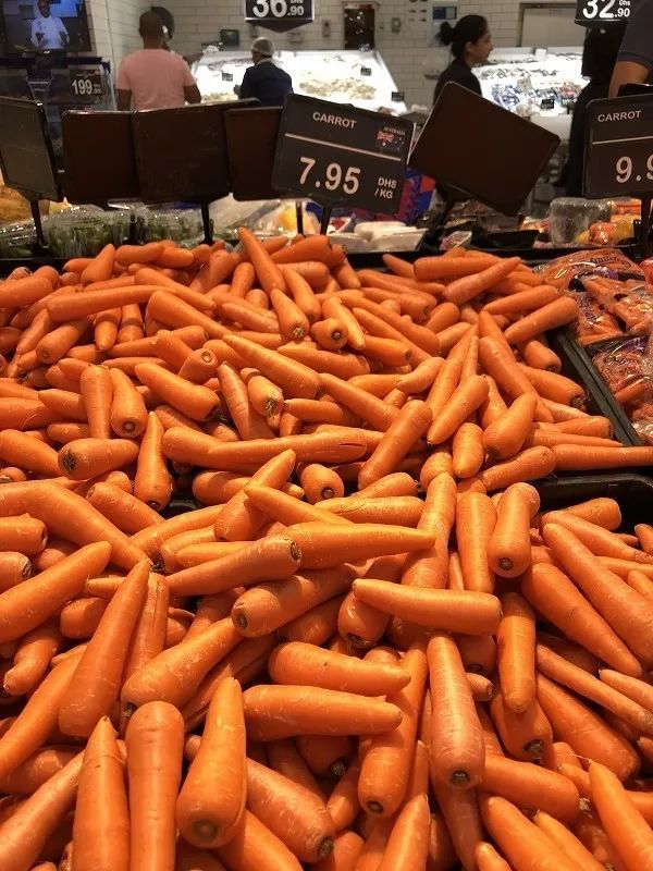 在迪拜怎么降低生活成本,迪拜一周生活成本多少钱