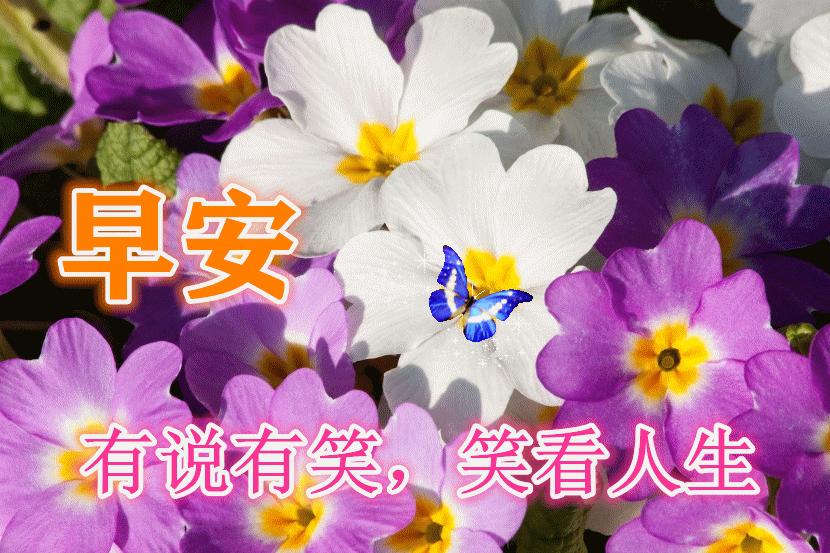 11月21日早安心语正能量句子,2021年早安心语正能量一句话