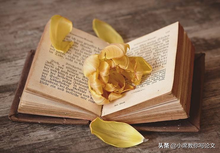 论文投稿期刊发表文章,论文的发表期刊是什么