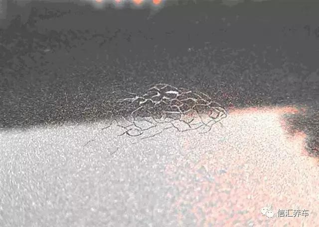 树油、虫尸、酸雨、紫外线……算个球