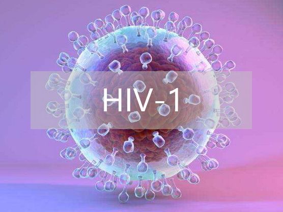 香港快速检测平台,香港快测平台