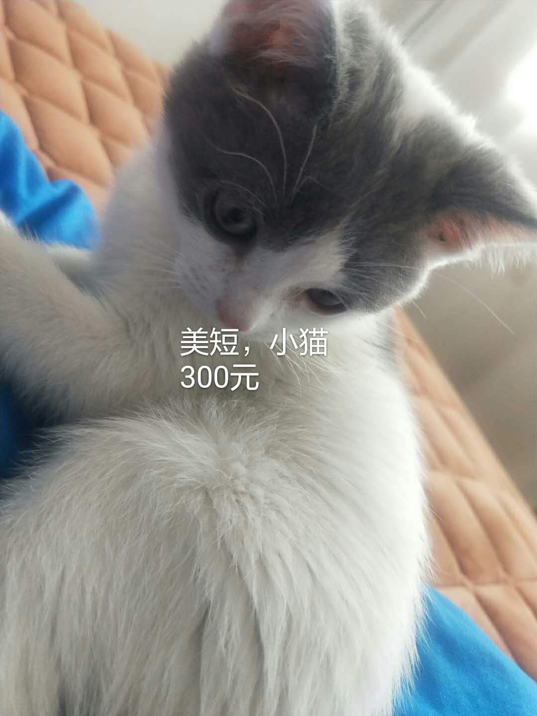 大庆回收二手闲置物品,大庆闲置物品同城出售