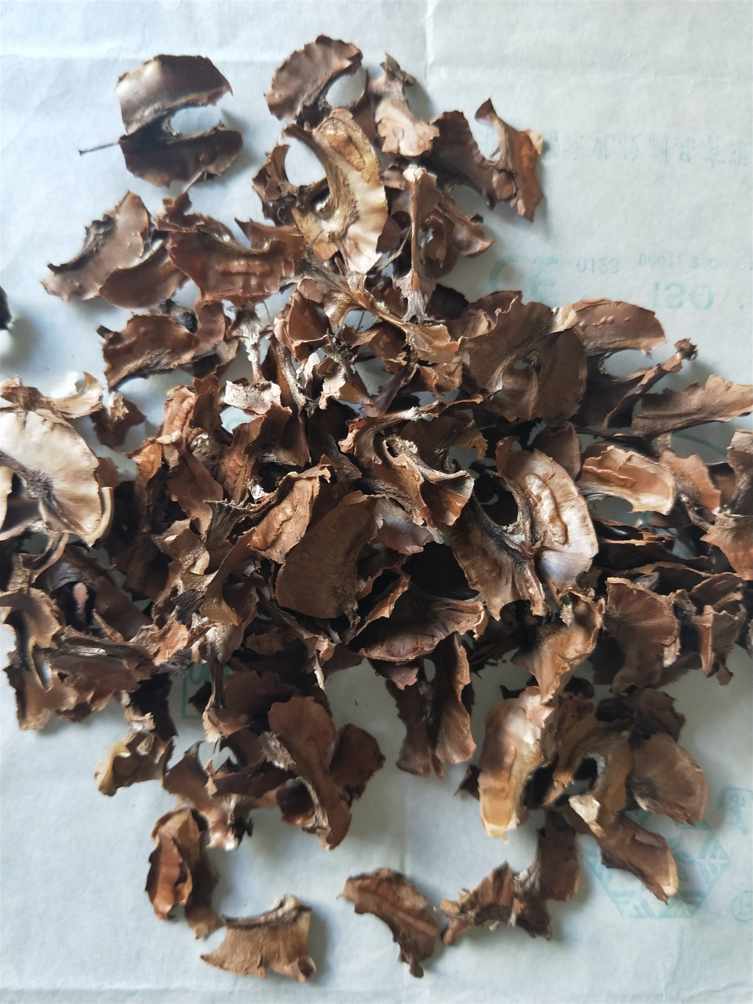 中药科普之核桃,有关核桃的药用知识