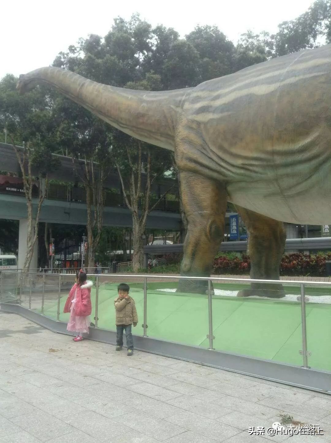 香港亲子游最佳路线图,香港亲子游攻略图