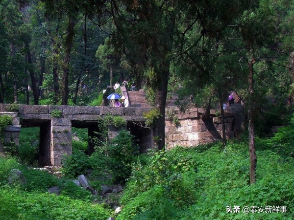 泰山斗姆宫尼姑,泰山斗母宫和斗姥宫