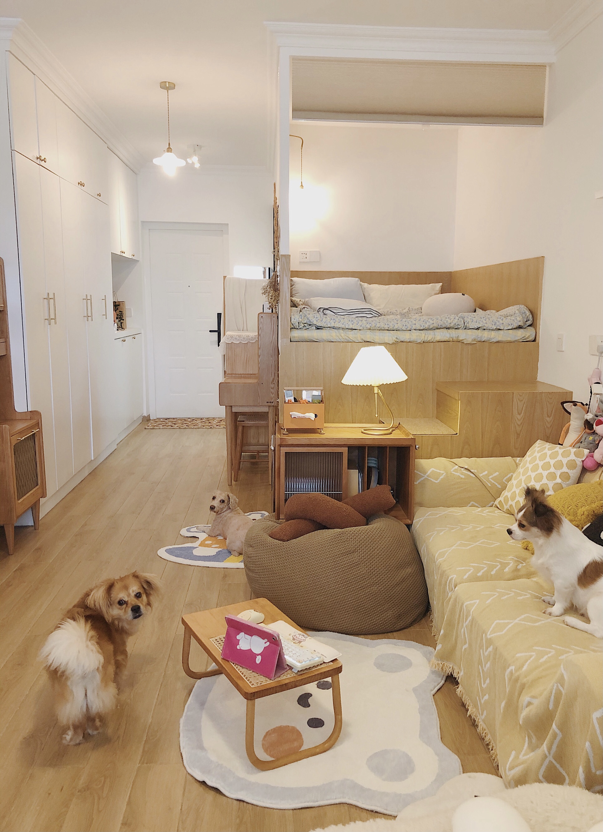 看完她的家，我才知道独居生活有多美好