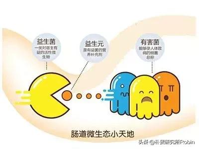 益生菌害了多少小孩,关于益生菌你应该知道的10个真相